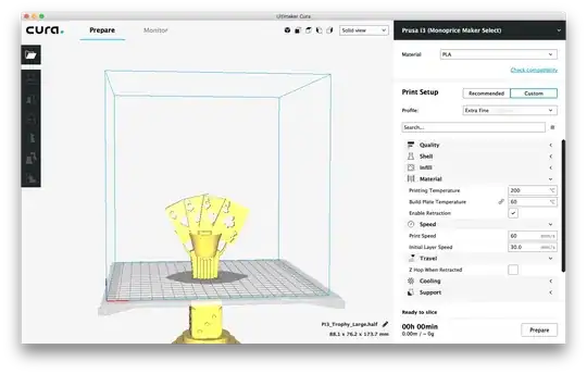 Slicer view