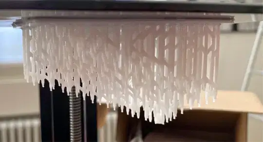 First failed print