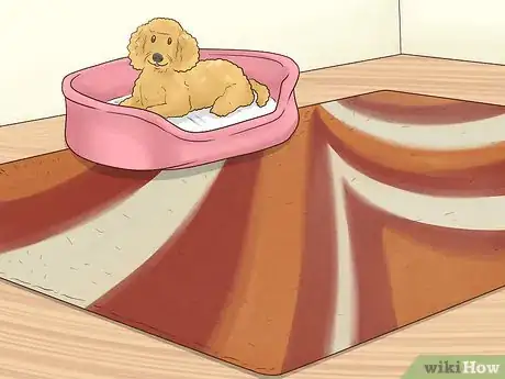 Image titled Choose Carpet Color Step 8