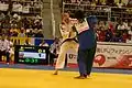 Böhm vs. Gévrise Emane (FRA) - Judo World Championships in Brazil 2007