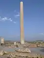 An erect column found in the ruin complex of Cyrus's private palace. Unlike Apadana columns no fluting is used