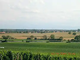 A general view of Gundolsheim