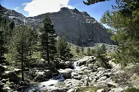 Restonica valley