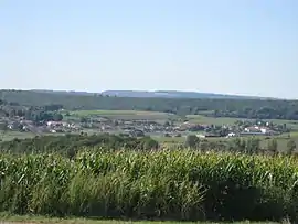 A general view of Mandres-sur-Vair