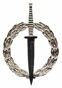 SA SF Operator's Badge