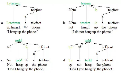 Separable verbs trees 2'