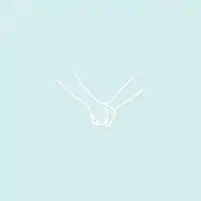 Two arms, holding hands, on a light blue background.