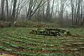The Turtle Peace Labyrinth at the Teaneck Creek Conservancy, Ariane Burgess