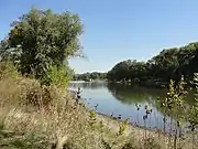 A view of the Fox River from Montgomery Park