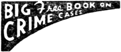 Big Free Book on Crime Cases
