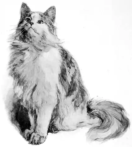 Frontispiece in The Fireside Sphinx.png