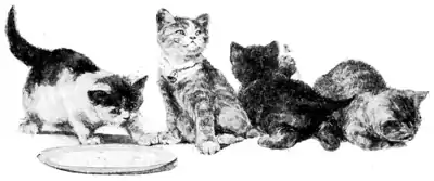 Page 125 illustration in The Fireside Sphinx.png